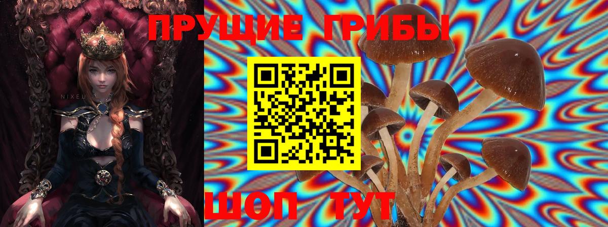 Калининград  Галлюциногенные грибы Psilocybine cubensis  Галлюциногенные грибы Magic Shrooms  Вход с VPN 