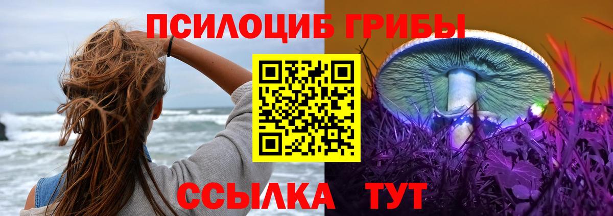 Галлюциногенные грибы MAGIC MUSHROOMS Калининград
