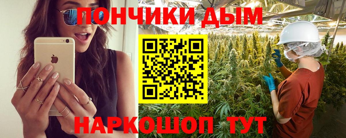 Бошки Шишки сатива  Канабис Ganja  Вход с VPN  Калининград  Шишки марихуана SATIVA & INDICA 